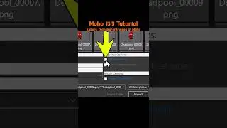Export Transparent video in Moho to After effects | Moho 13..5 Tutorial 