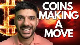 COINS READY TO MOVE
