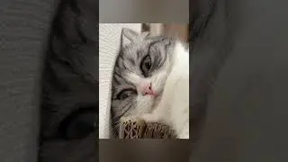 Вся в заботах, вся в каких-то мелких неурядицах