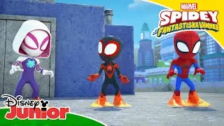 Team Spidey sitter fast | Spidey och hans fantastiska vänner | Disney Junior Sverige