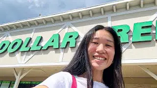 Let's go to the Dollar Tree, Target and Aldi!