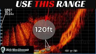 Don’t Use Livescope Like Everyone Else!