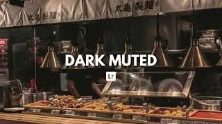 Dark Muted Preset | Lightroom Preset | Free Download
