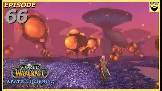 Let's Play WoW Classic WoTLK - Human Rogue - Part 66  - Gameplay Walkthrough