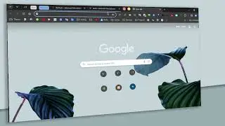 Website Monitoring & maintenance