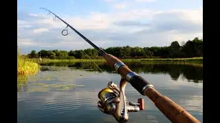 НА РЫБАЛКУ  в  Fishing planet . 