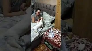 Дружба странная
