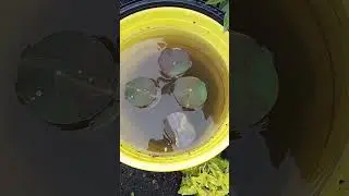 На Урале дожди🌧🌧🌧