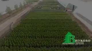 У нас все спокойно