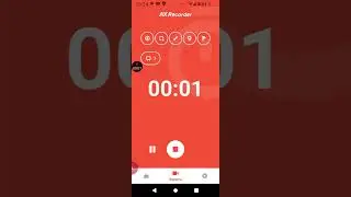 🐅 тигр