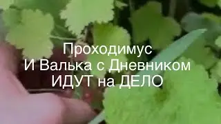 Как НАС с Мамой видит и обсуждает хейтерша. Спасаем Миллиардера 🙈🙈🙈