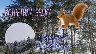 ПОДЪЁМ НА ГОРУ ПОСЛЕ КОВИДА. ЛЮБУЮСЬ ПРИРОДОЙ И ЛОШАДЬМИ.