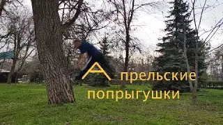 Апрельские попрыгушки