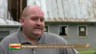 How Boer Goat Production Has Exploded in Recent Years