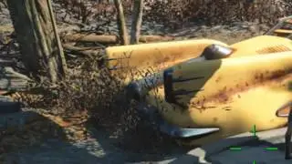 Copia di Fallout 4 dog play!