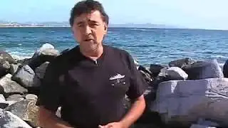 El Gran Tiburón Blanco de Isla Guadalupe 4-7