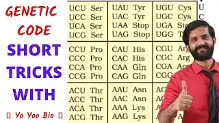 How to remember Genetic code | Codon and amino acids | Short tricks with yo yoo bio