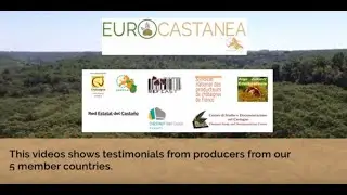 La production de châtaigne dans 5 pays européens 2020 / Chestnut production in 5 EU countries