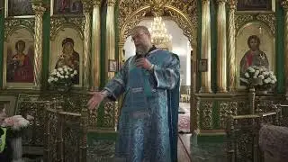 Слово дьякона Дмитрия Майорова.  После молебна перед началом нового учебного года 2024