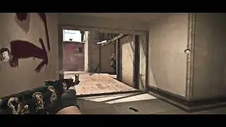HOW ABORIGINE REALLY PLAYS CS GO