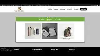 Ninja Beaver Addons  Advance Tabs Module