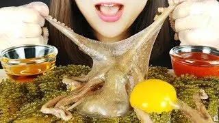 ASMR Seafood Raw Octopus, Sea grapes *Octopus filming process for making YouTube thumbnails*