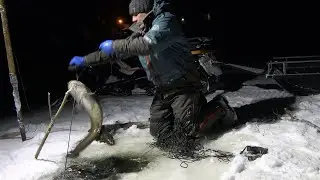 Burbot Fishing | Start | 2024-2025 Season