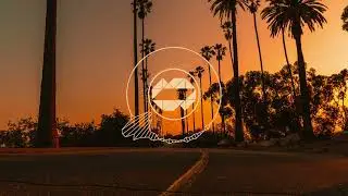 BEAM X The Roots - What They 2x2 (Taimles Blend)