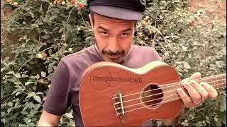 BOOGIE WOOGIE ON UKULELE