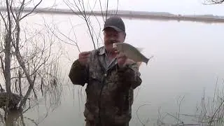Ловля язя, налима в начале мая