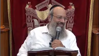פרשת בלק | חמש אבנים או הצלחה בלימודים | המבט הנכון ביסודות החינוך ᴴᴰ