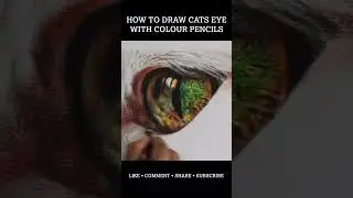 How to Draw Cats Eye with Colour Pencils | YouTube Shorts