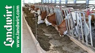 Automatische Futtervorlage mit AGROTEL | landwirt.com