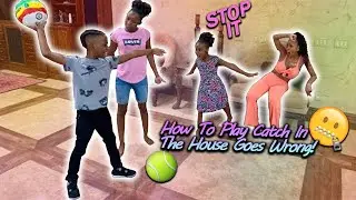 When Teaching Your Kids How To Play Catch In The House Goes Wrong!