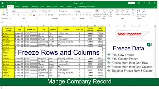 How to Freeze Row and Column in Excel | Multiple Row and Column Freeze|