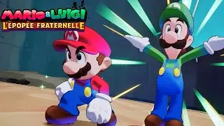 Mario & Luigi  :  La Fraternité au Pouvoir