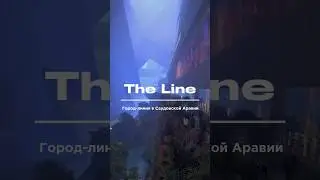 THE LINE - город линия #theline