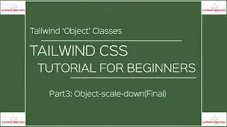 Tailwind CSS Tutorial for Beginners: Object scale-down class