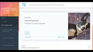 project 5 Deep  Learning