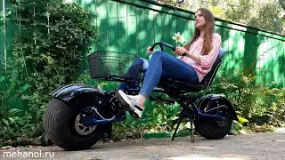 Ситикоко лигерад
