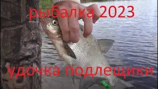 рыбалка 2023 на удочку ловля подлещика летом на опарыша