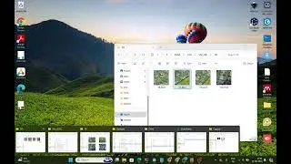 Shapefile to CCOC JSON format convert and open it Labelme 