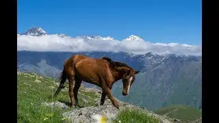 Travel to Georgia-National Parks of Georgia