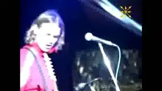 Холодный Дом — Собаки Adidas  (Live at 