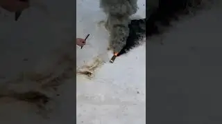 РГД-П Часть 1