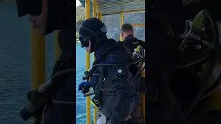 В выходные прошли курс Advanced OWD🤩