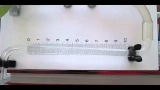 Potometer Experiment: Measuring the rate of Water Uptake - Rainey Endowed School