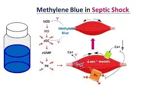Methylene Blue Trial_Critical Care Journal 2023