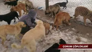 Birlikte güzel işler yapıyoruz - Çorum Çöplükleri