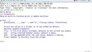 Python Basic : Statements